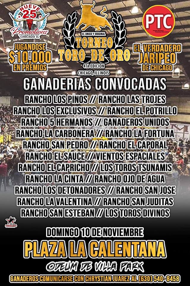 Poster for Toro de Oro Chicago 2019
